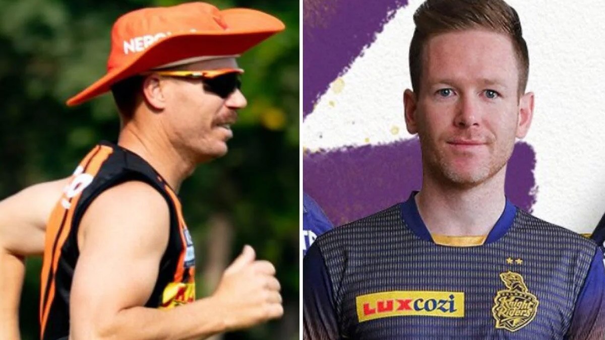 david warner and eoin morgan 
