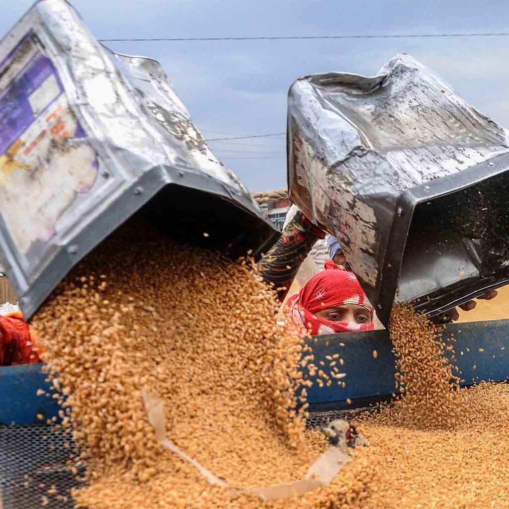 Pakistan wheat stocks