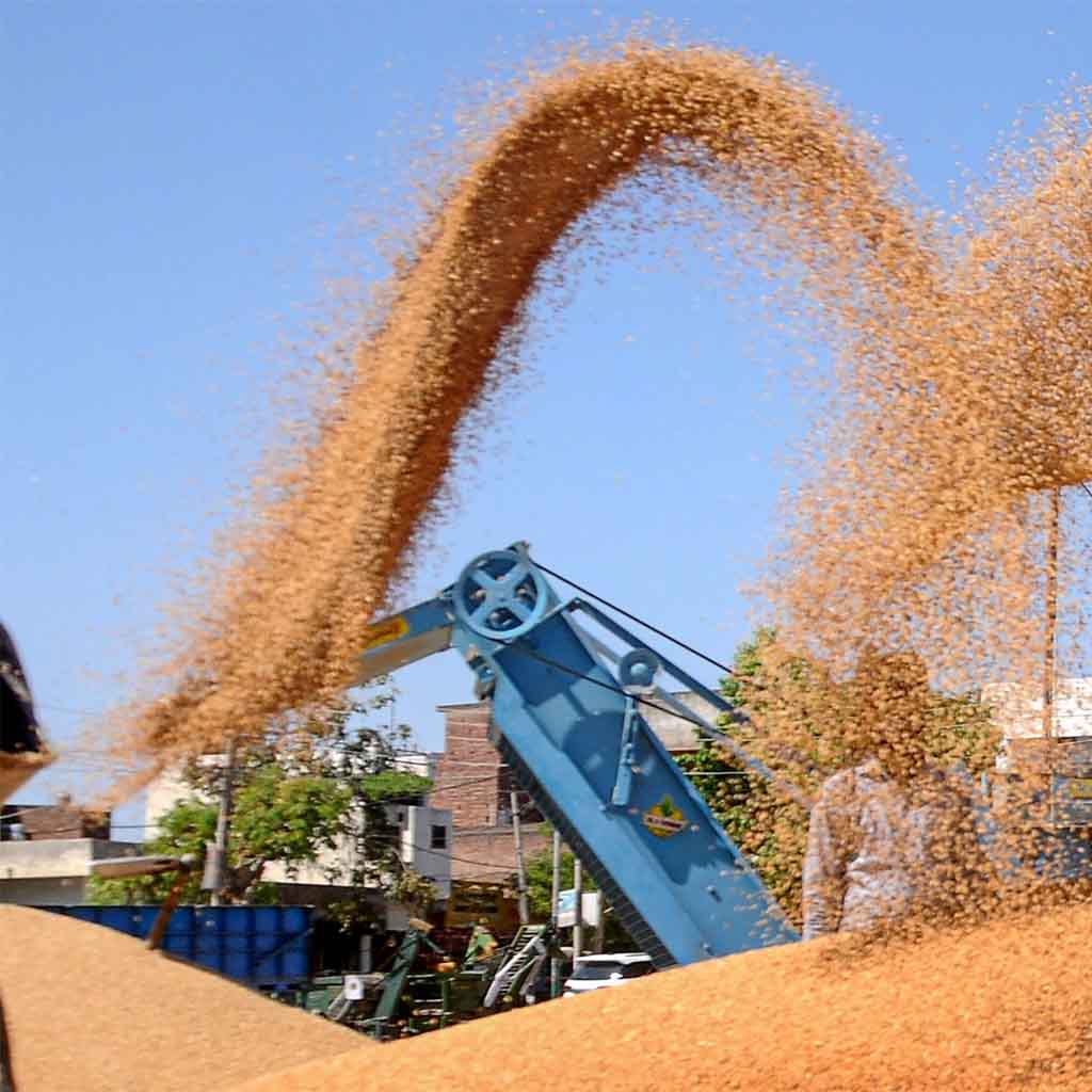Pakistan wheat stocks