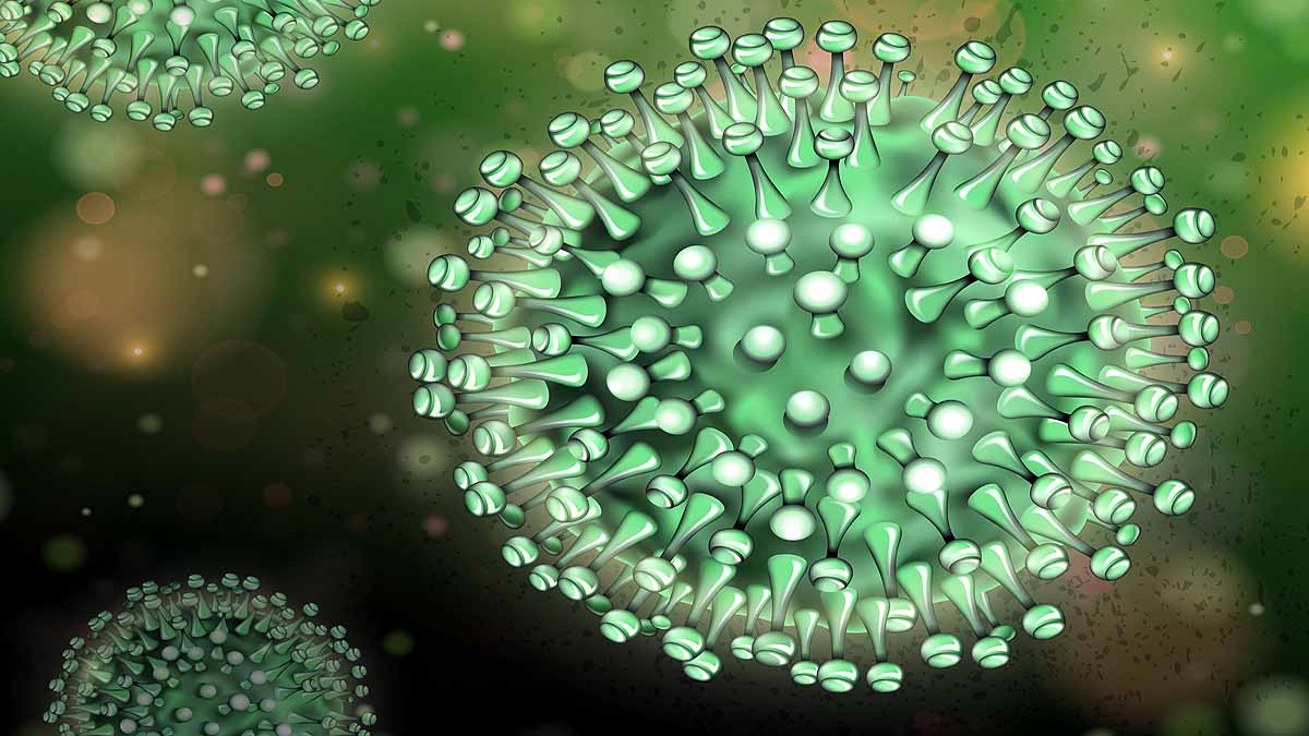 New Coronavirus Wuhan Agricultural Lab