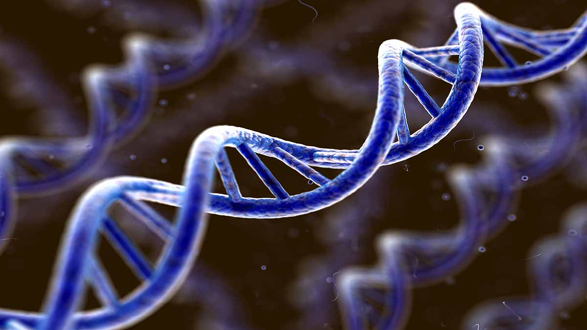 New Coronavirus Wuhan Agricultural Lab