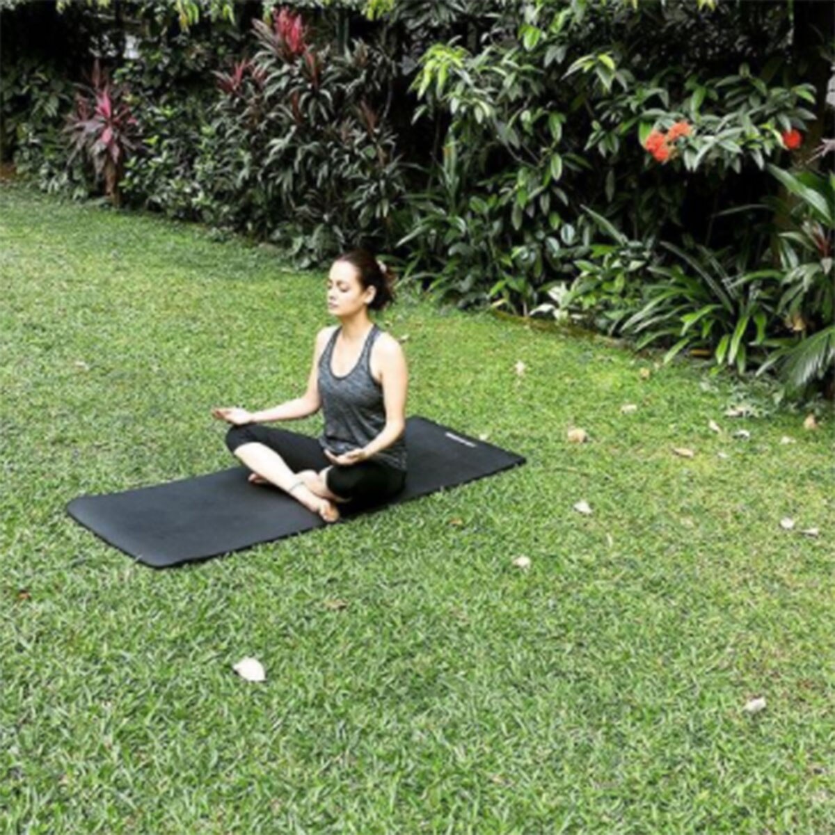 दीया मिर्जा 