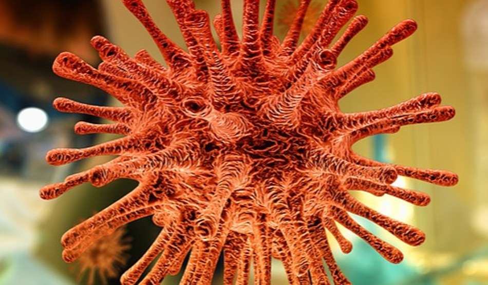 कोविड- 196