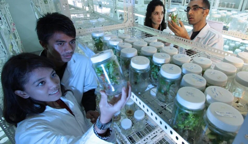 पीडियाट्रिक्स 3