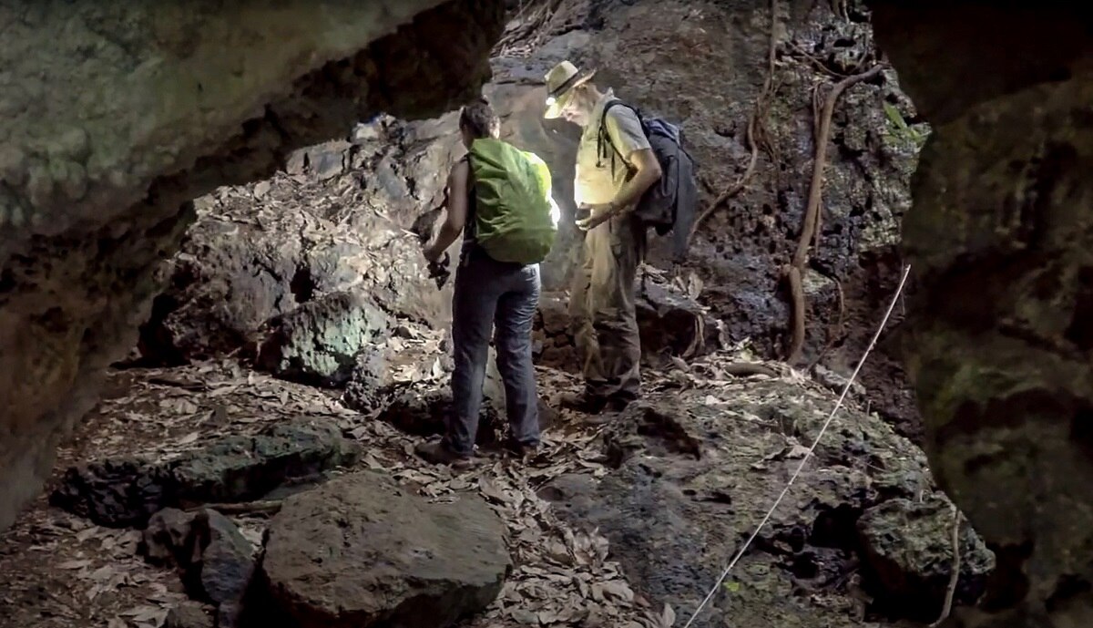 78 हजार साल पुरानी क्रब