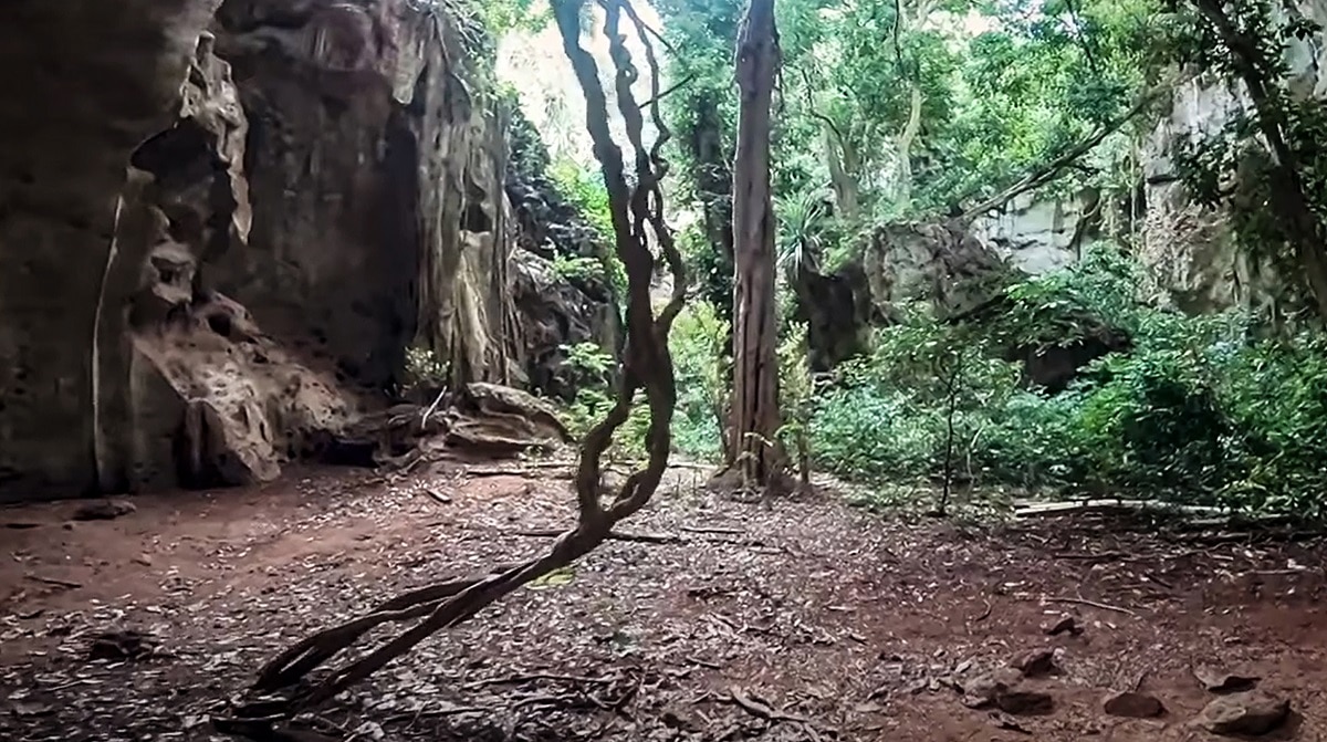 78 हजार साल पुरानी क्रब