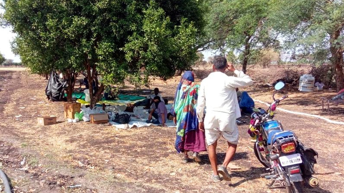  खेत में पेड़ पर लटका कर चढ़ाई जा रही बॉटल, लोगों की जान से खेल रहे हैं झोलाछाप डॉक्टर