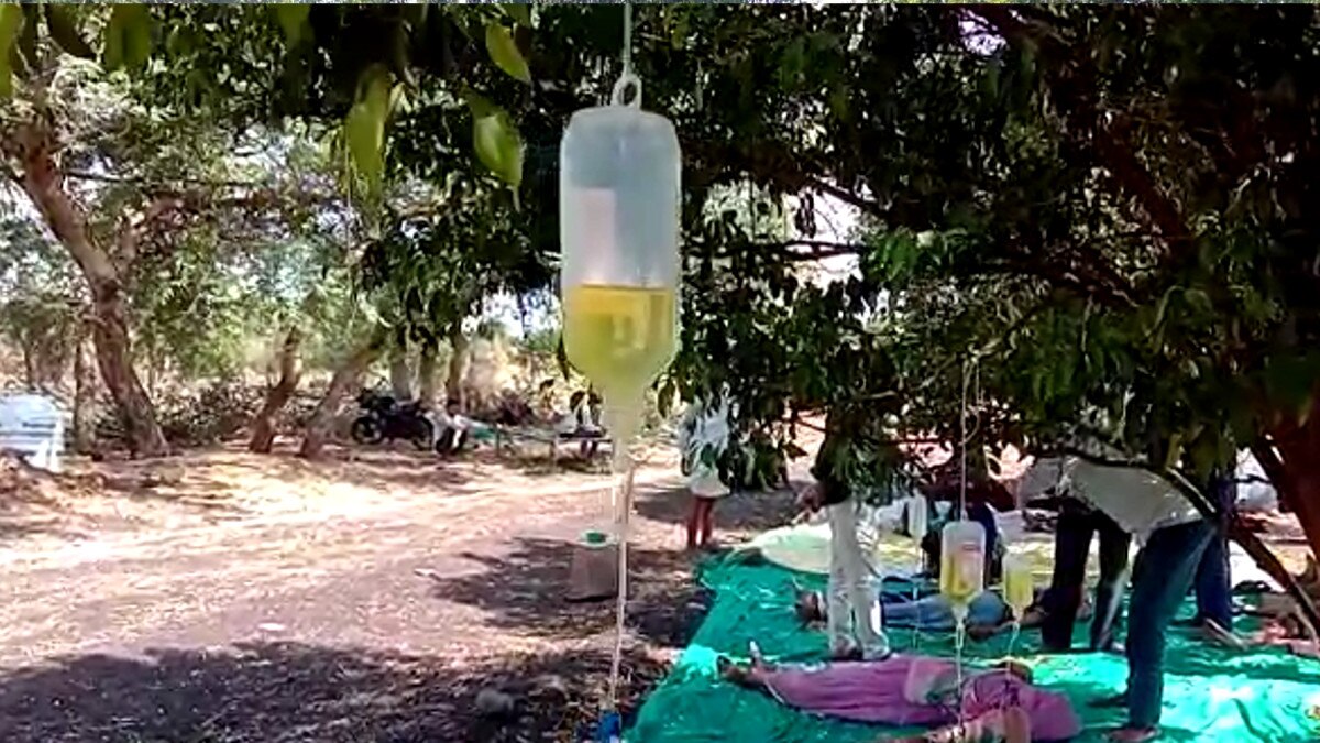  खेत में पेड़ पर लटका कर चढ़ाई जा रही बॉटल, लोगों की जान से खेल रहे हैं झोलाछाप डॉक्टर