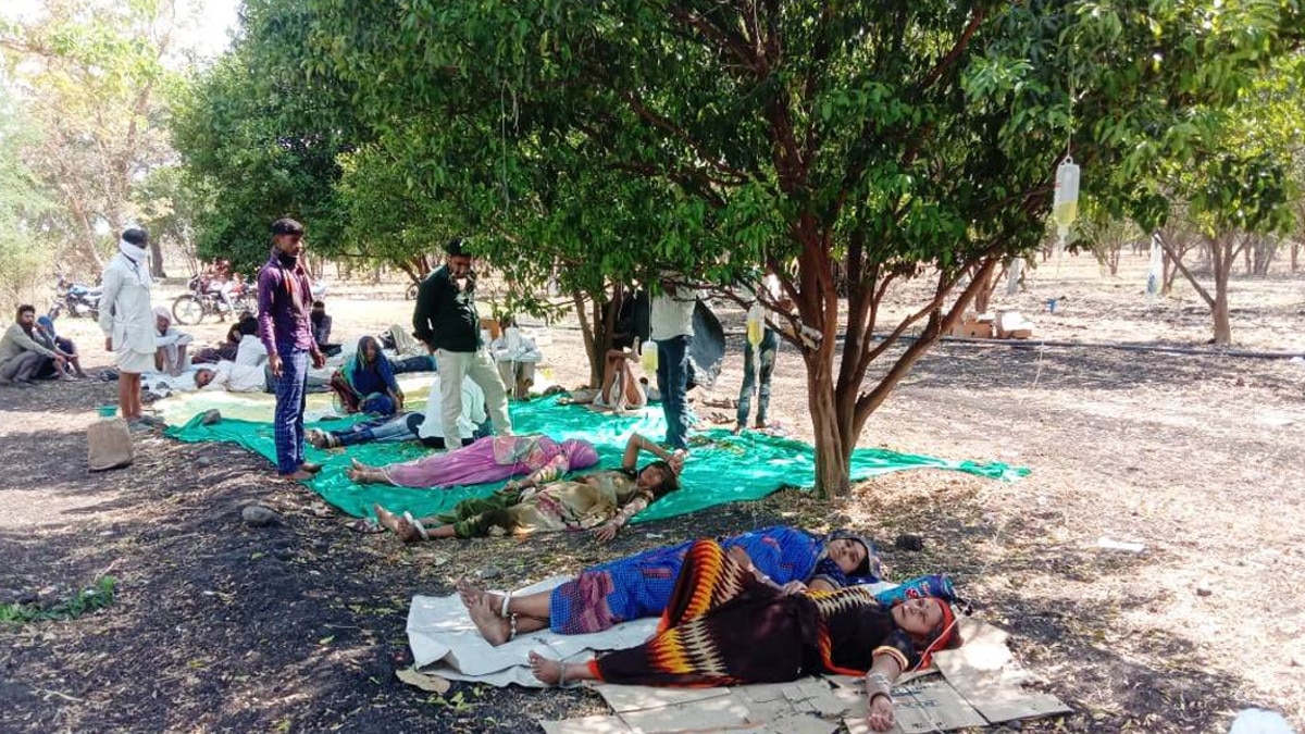  खेत में पेड़ पर लटका कर चढ़ाई जा रही बॉटल, लोगों की जान से खेल रहे हैं झोलाछाप डॉक्टर