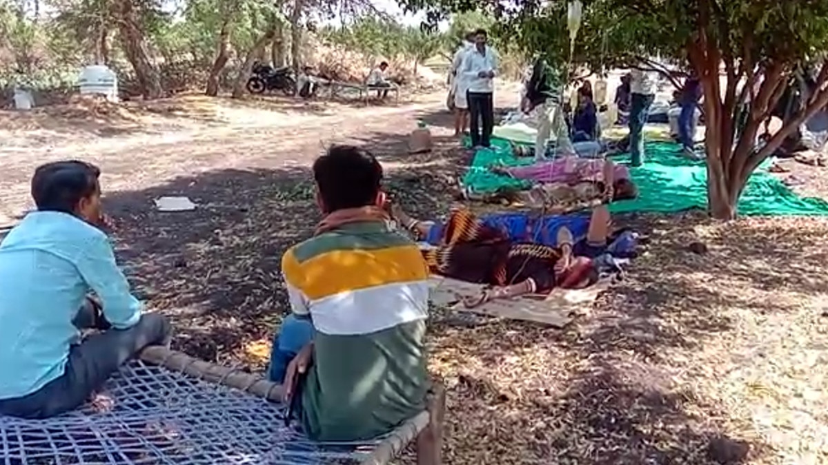  खेत में पेड़ पर लटका कर चढ़ाई जा रही बॉटल, लोगों की जान से खेल रहे हैं झोलाछाप डॉक्टर