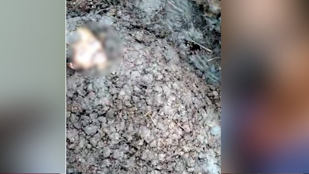 गोबर में दबाकर युवक को जिंदा करने का प्रयास