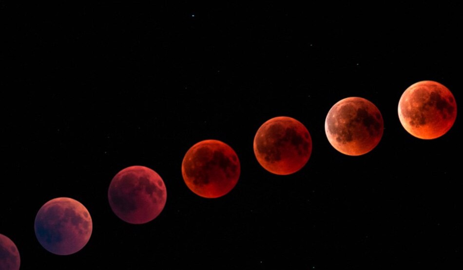 ज्योतिषाचार्य पंडित मनोज त्रिपाठी2