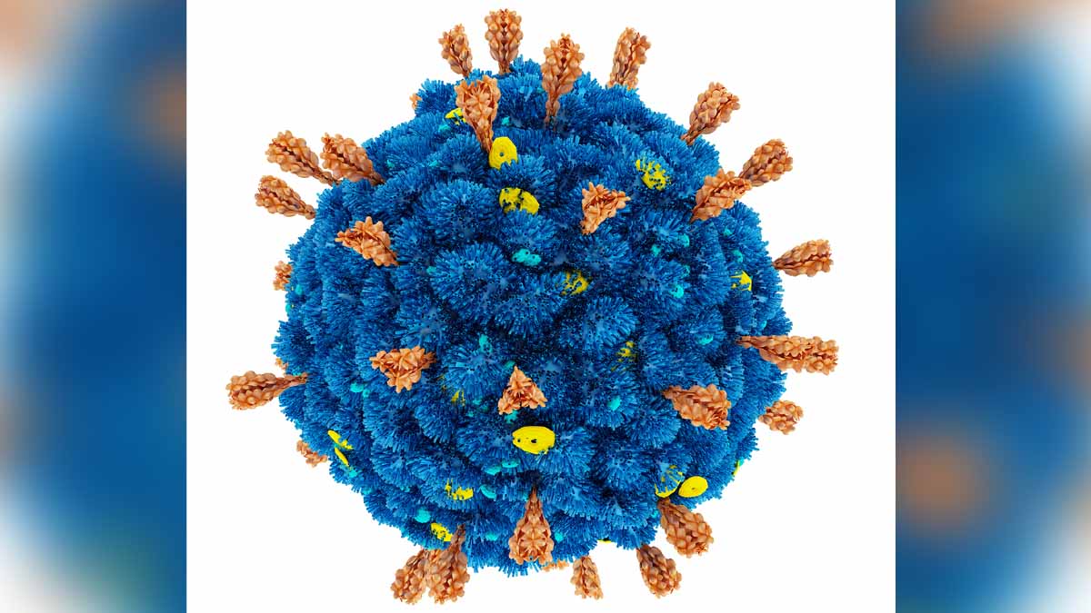 First Image of B.1.1.7 Variant