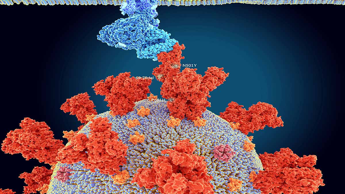 First Image of B.1.1.7 Variant