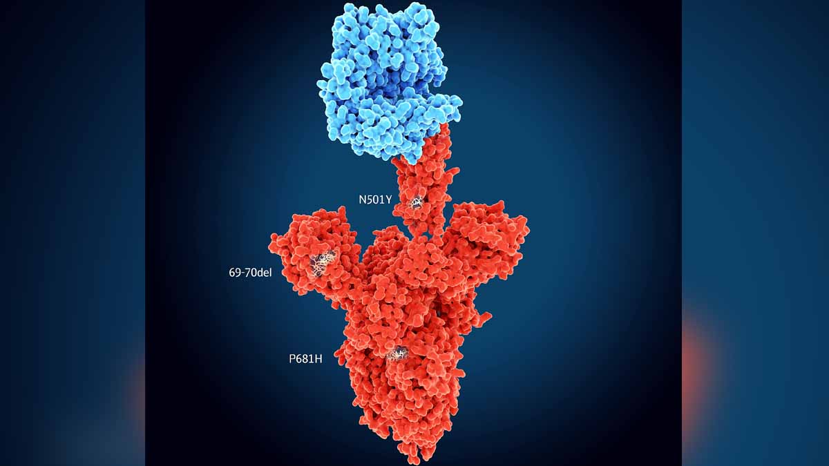 Covid-19 Positive After Recovery