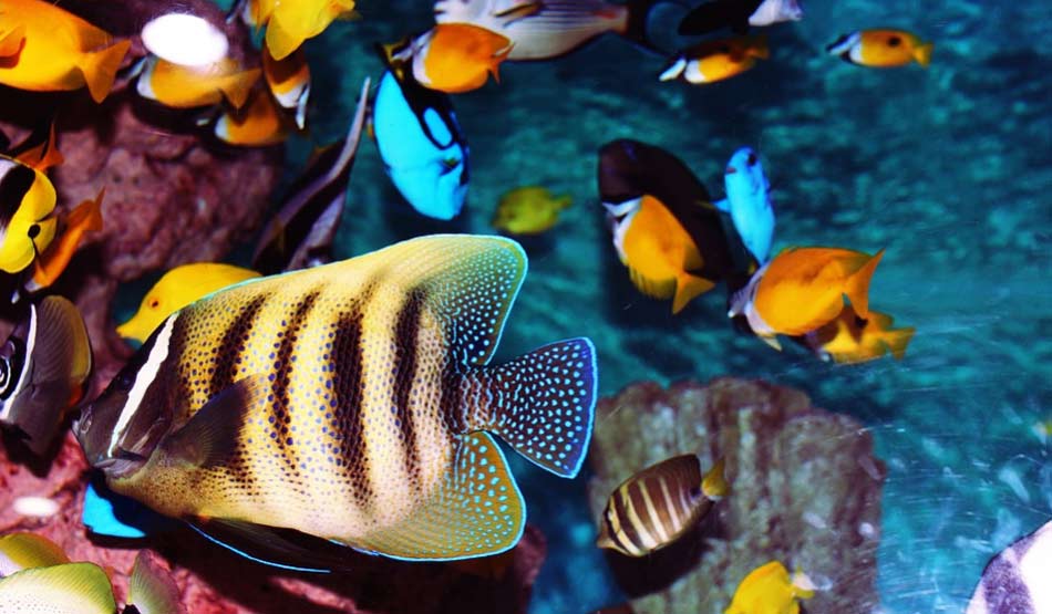 गंदगी ना छोड़ें.9