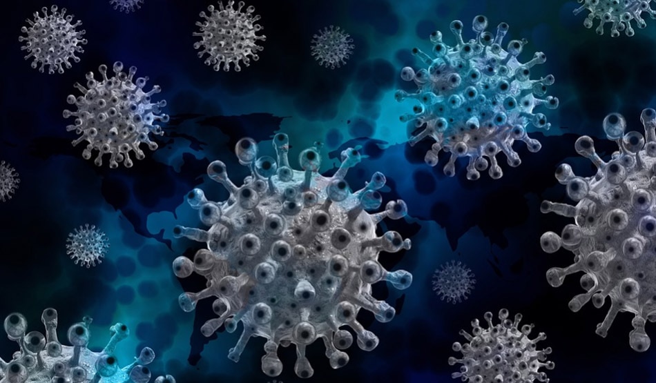 ब्लैक फंगस6