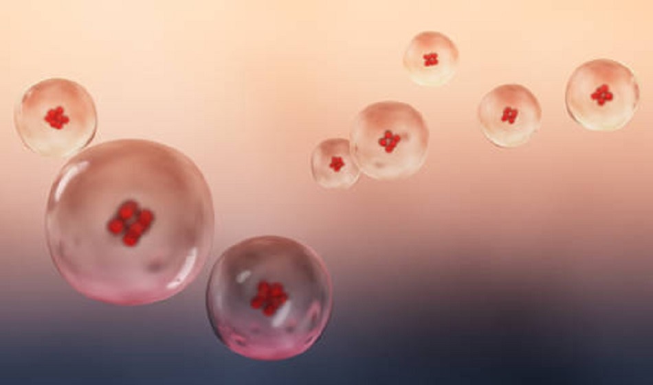 मल्टीपल प्रेग्नेंसी 8