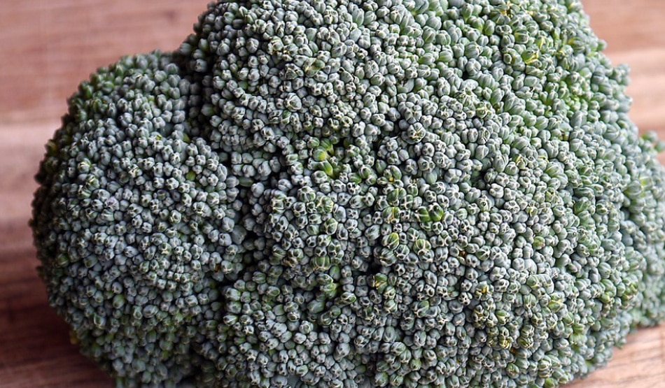 ब्रॉकली