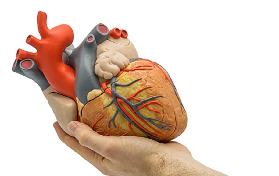 कोरोना वायरस 7