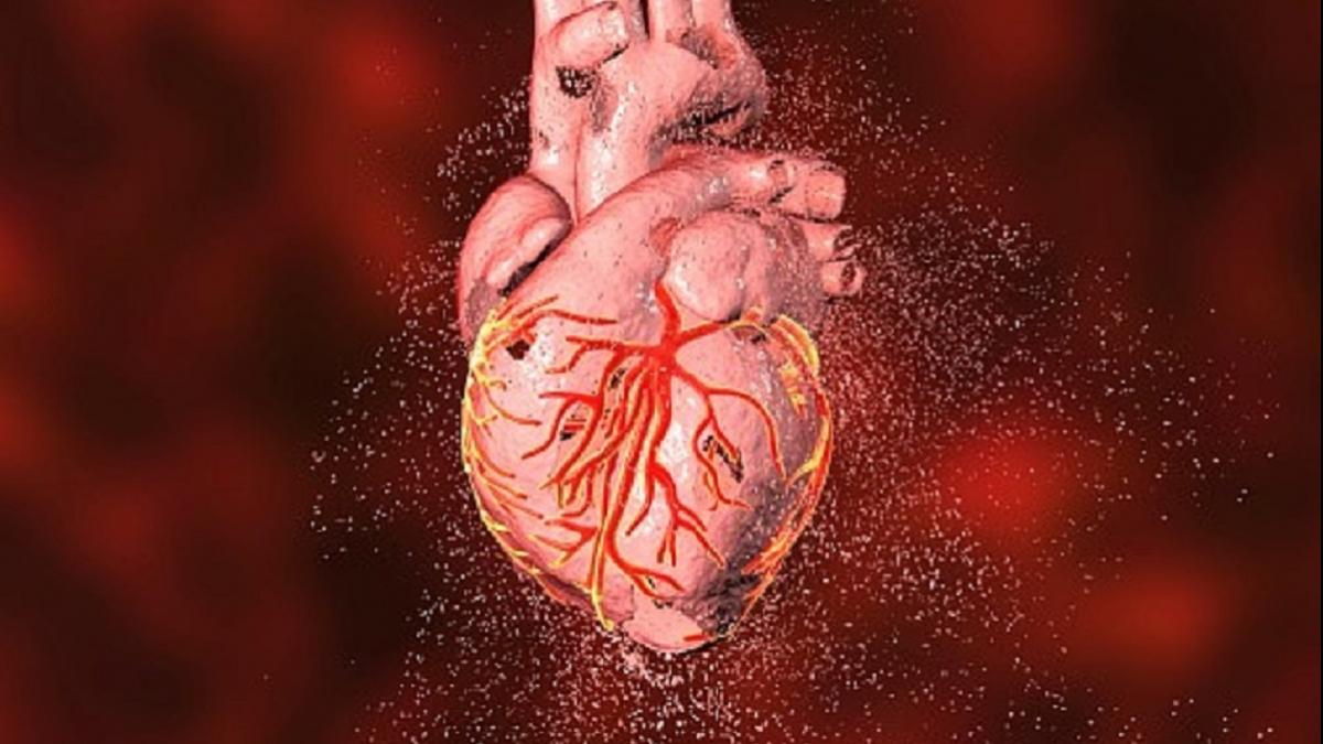 Photo Credit: Getty Images