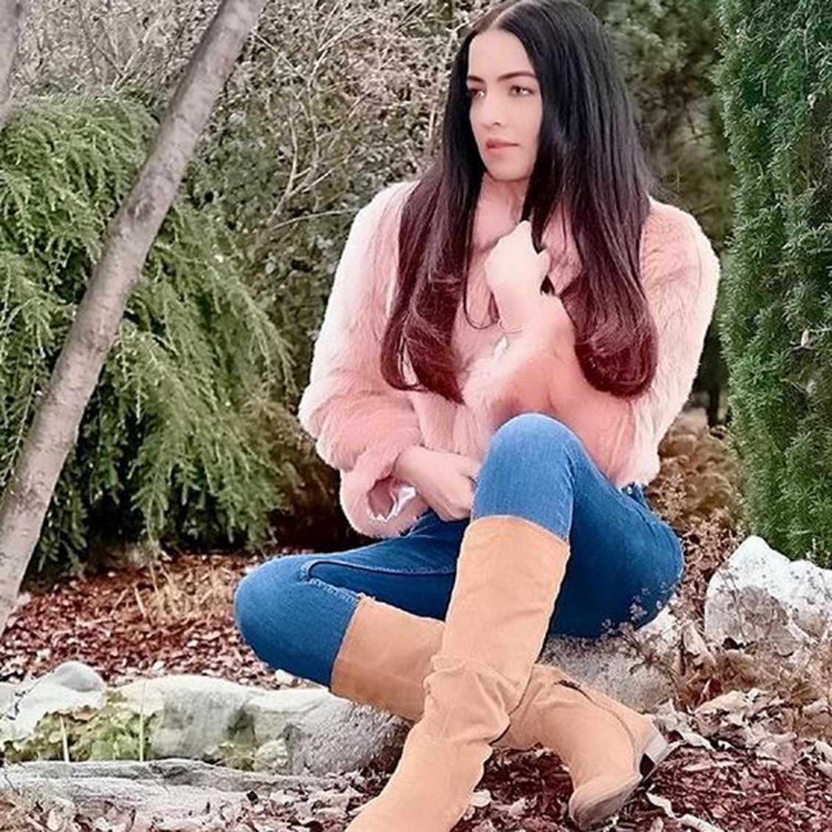 सेलिना जेटली