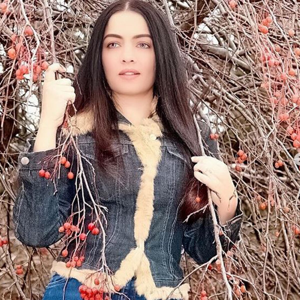 सेलिना जेटली