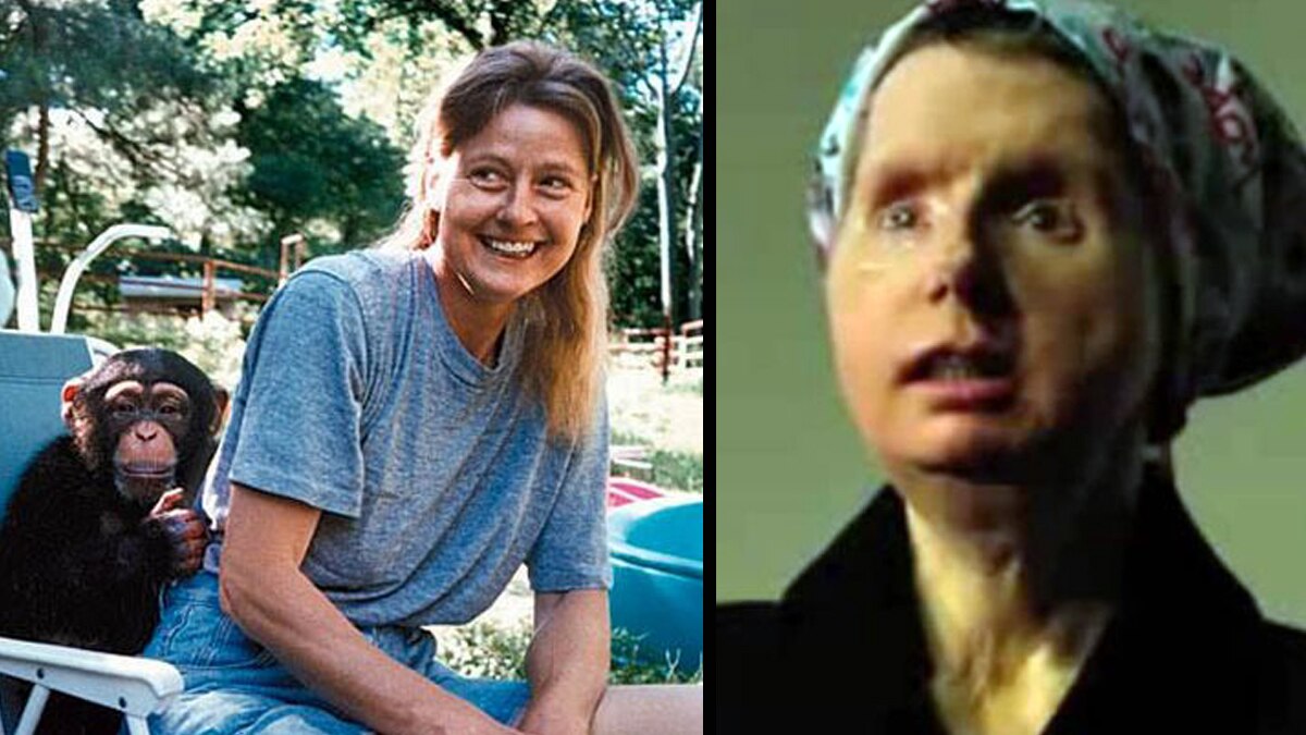 chimpanzee eats woman