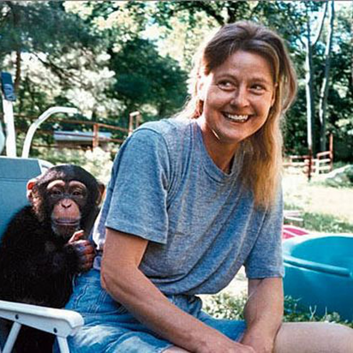 chimpanzee eats woman