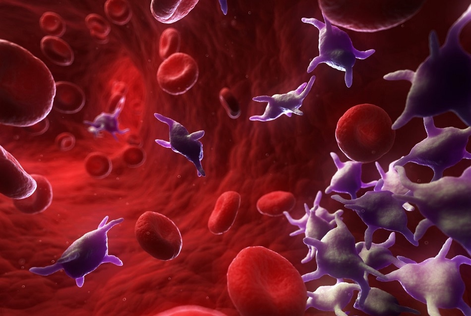 कोरोना वायरस 6