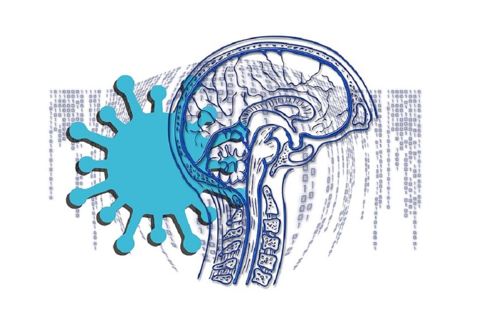 न्यूरो फंक्शन टेस्ट