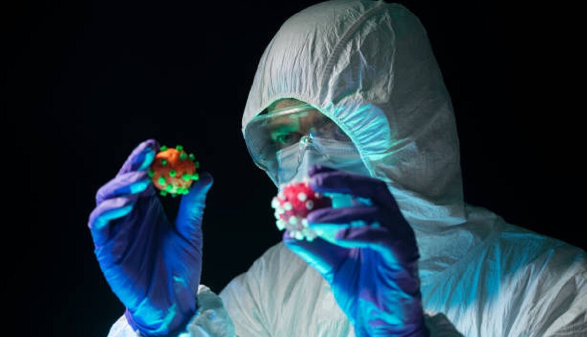 न्यूजीलैंड 