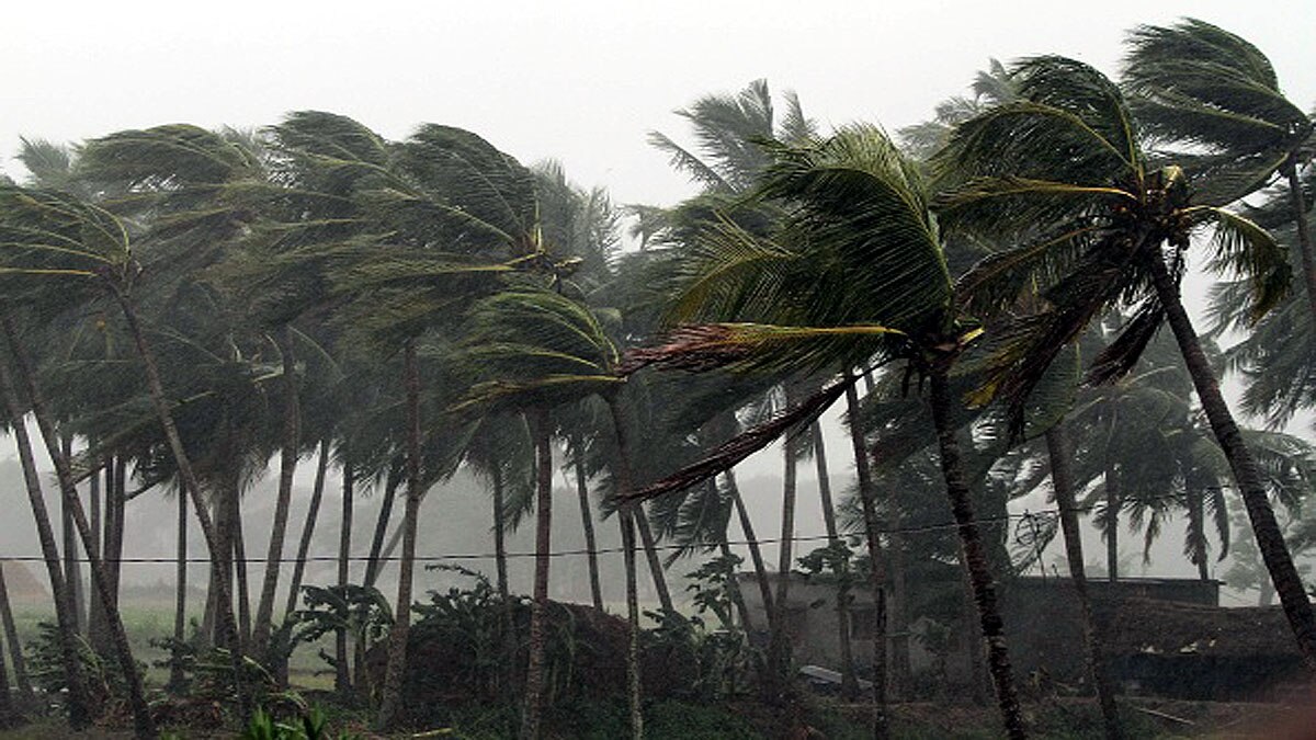 Cyclone Yaas Explainer