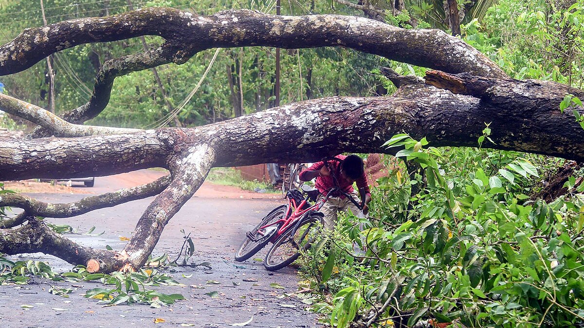 Cyclone Tauktae is New Climate Trend