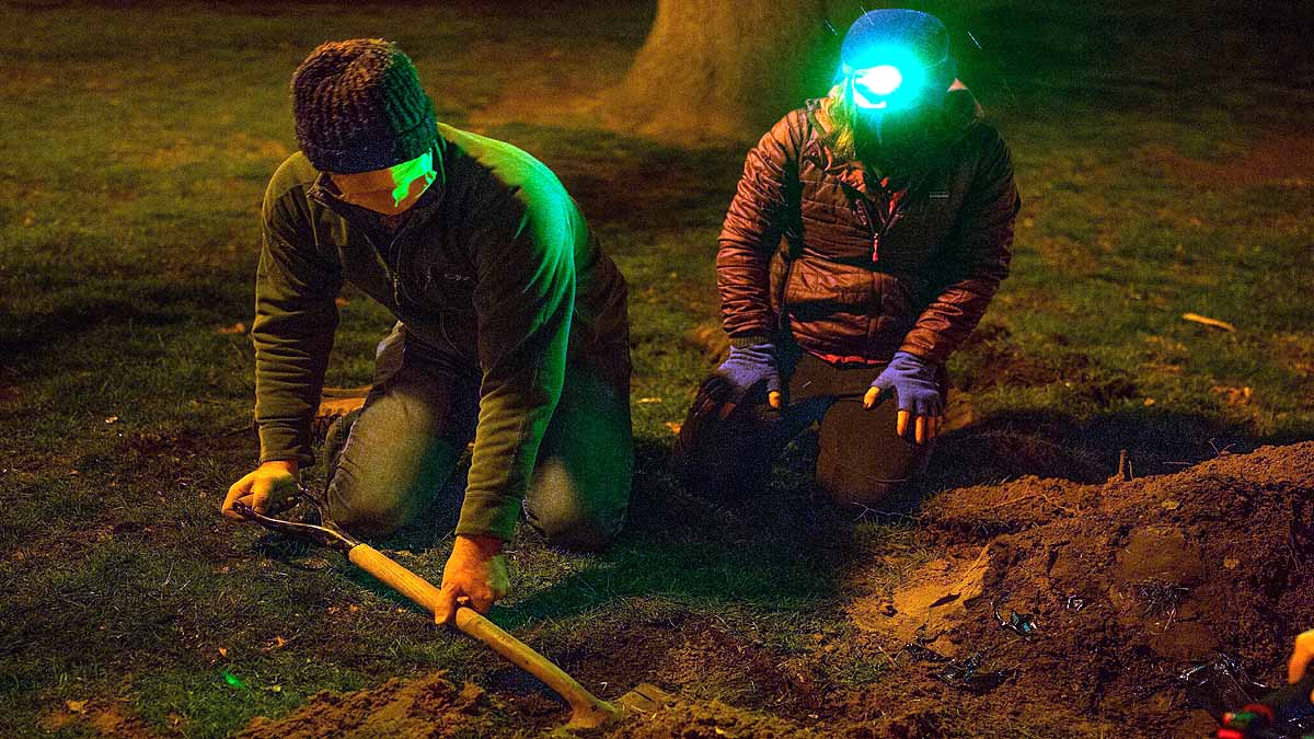 World's Longest Experiment