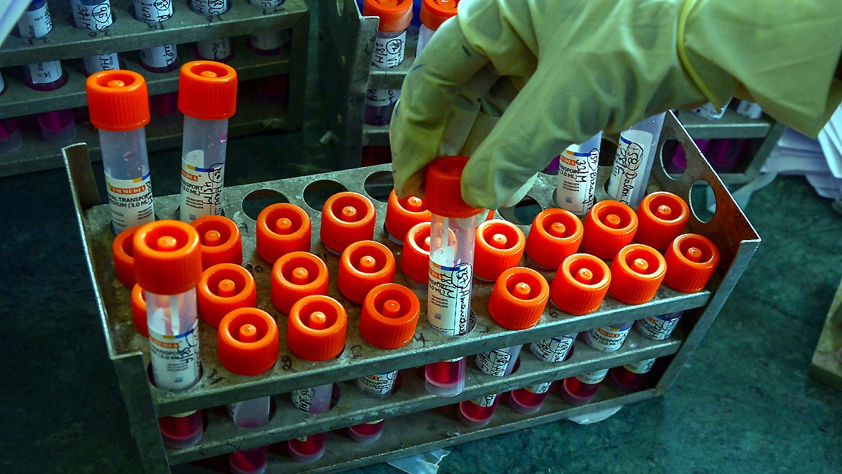 Disease surveillance The Lancet