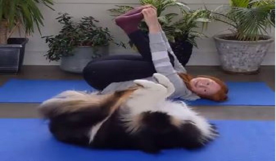 yoga dog