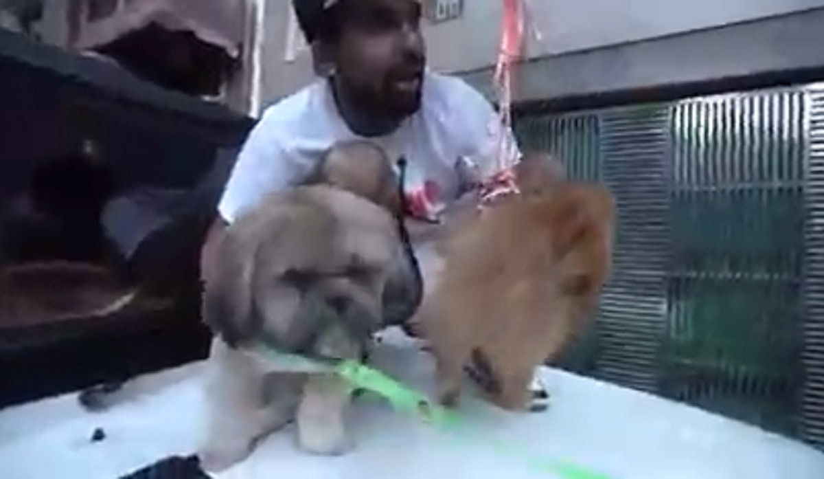 यूट्यूबर ने हवा में कुत्ते को उड़ाया