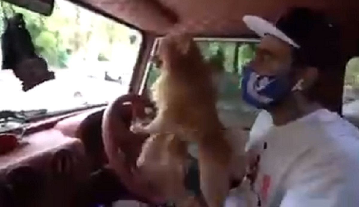 यूट्यूबर ने हवा में कुत्ते को उड़ाया