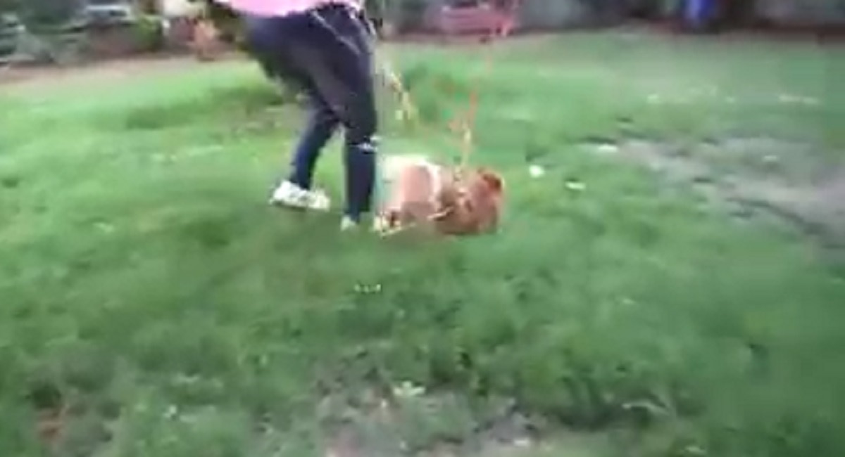 यूट्यूबर ने हवा में कुत्ते को उड़ाया