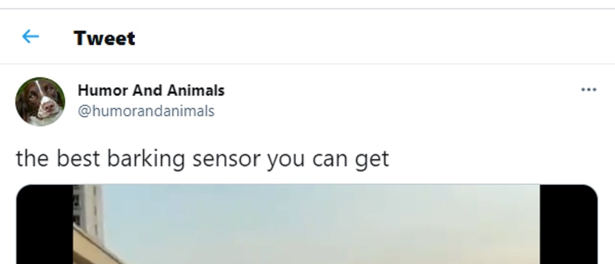 barking sensor