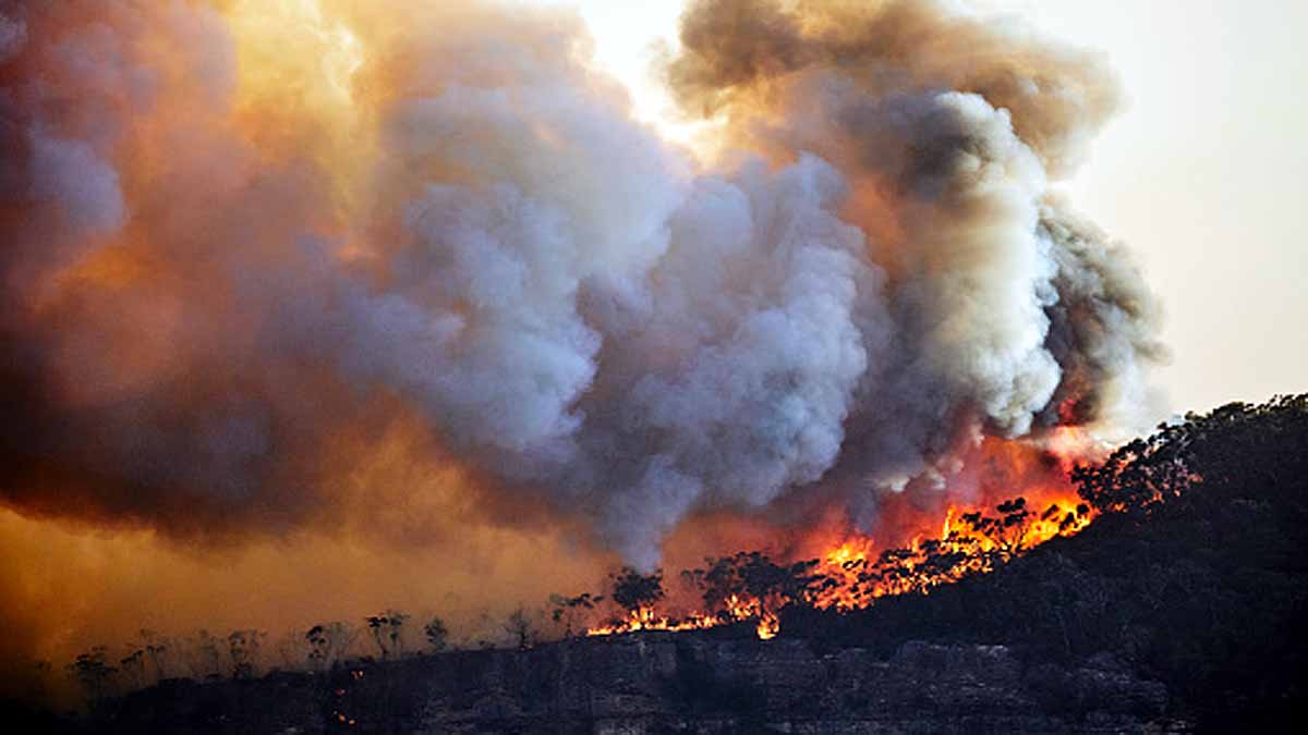 wildfires creates own lightning