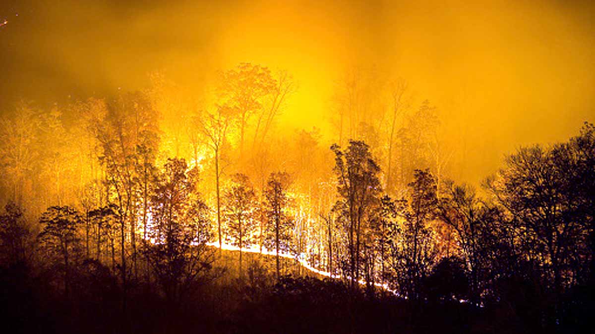wildfires creates own lightning