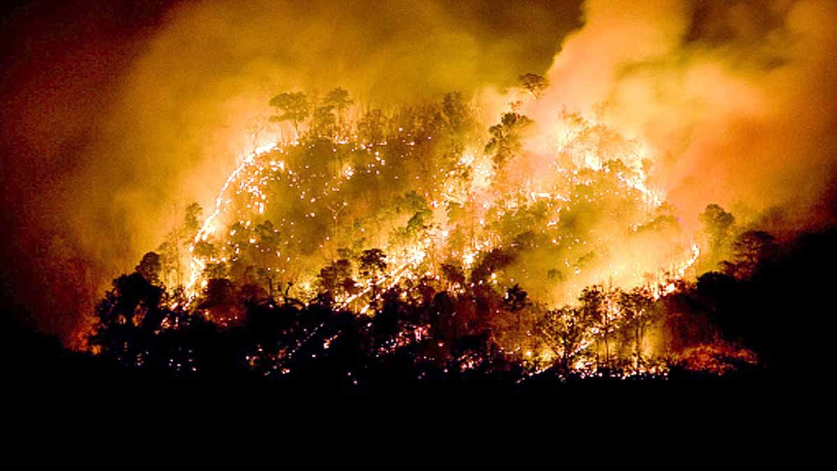 wildfires creates own lightning