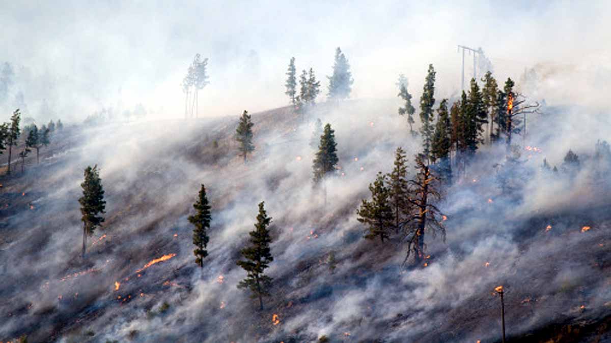 wildfires creates own lightning