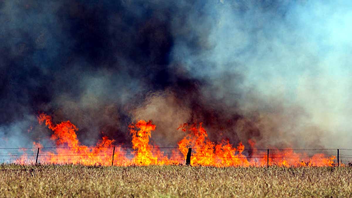 wildfires creates own lightning