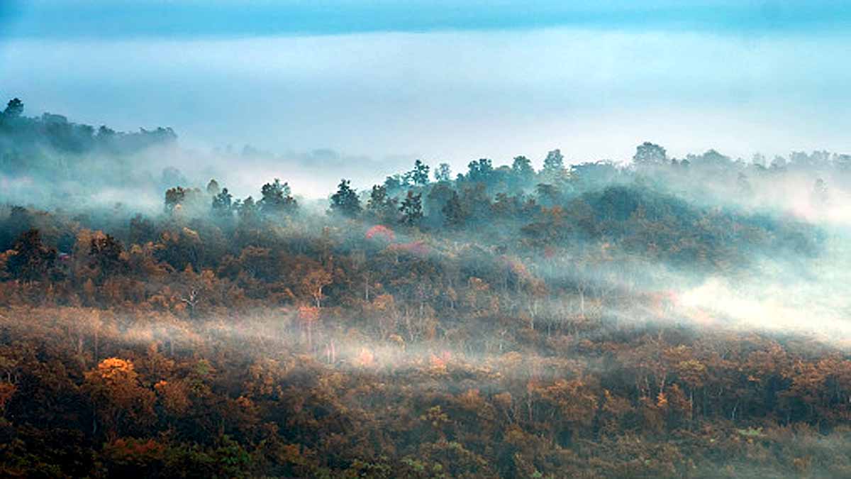wildfires creates own lightning