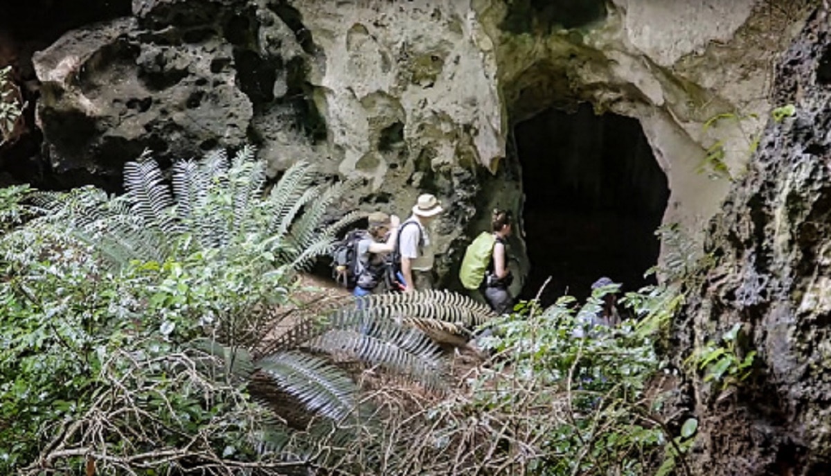 78 हजार साल पुरानी क्रब