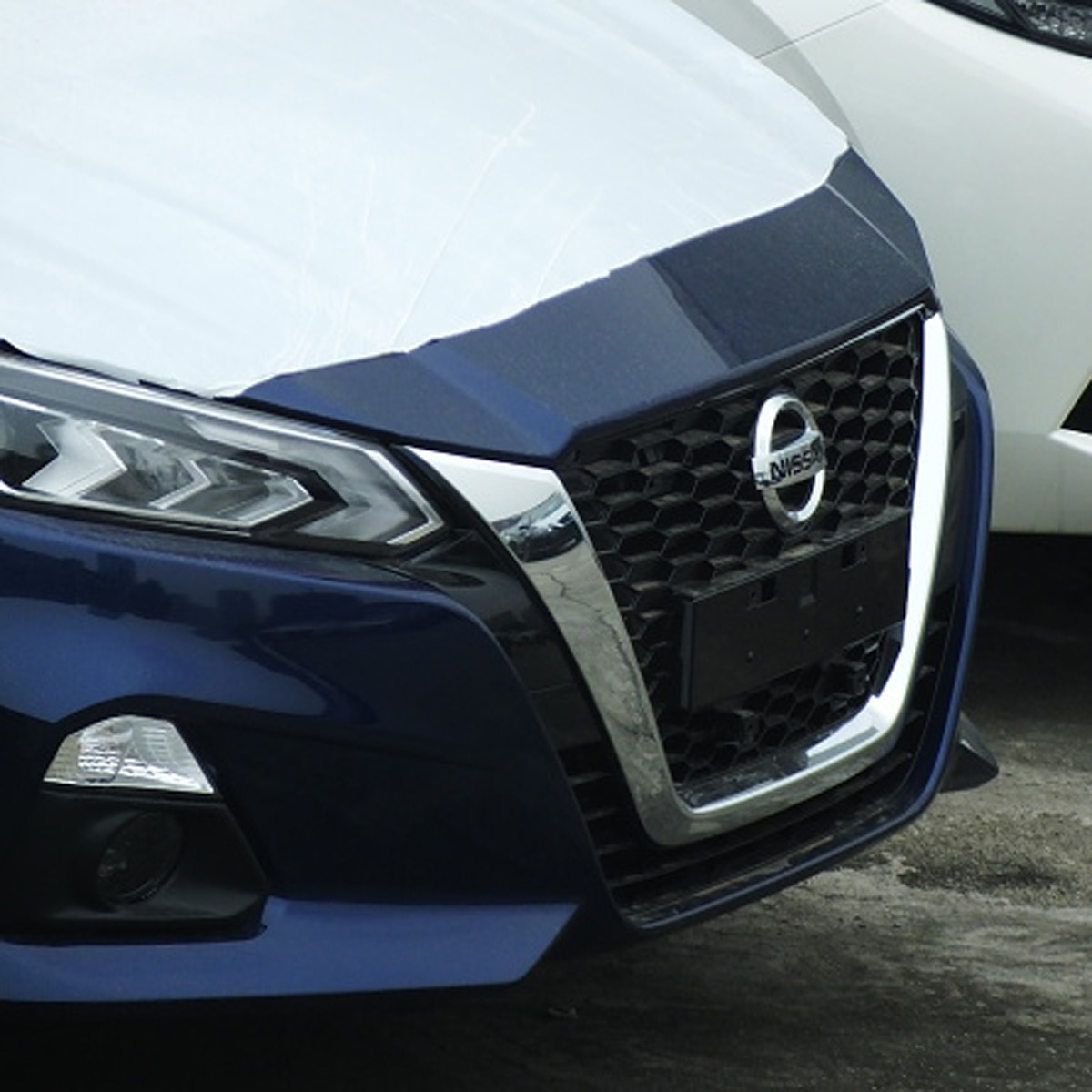 private part pic with car ad