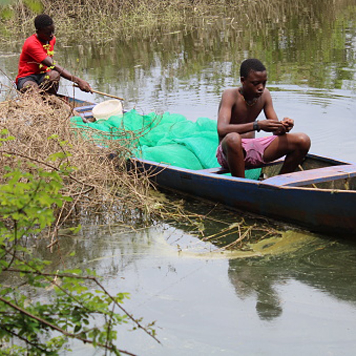 man wants thousand kids